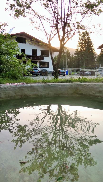 Dreimaederlhaus Am Berg Apartment Пфронтен Стая снимка